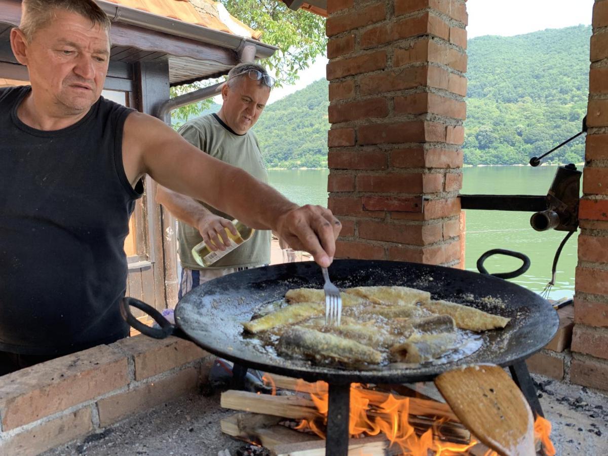 Dunavska Vila Milosavljevic Donji Milanovac Buitenkant foto