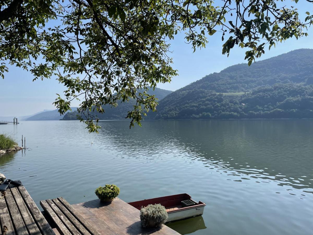 Dunavska Vila Milosavljevic Donji Milanovac Buitenkant foto